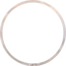 3592934-TTIN-J96-PISTON-RING-OF-TURBOCHARGER_Top_View_256X256