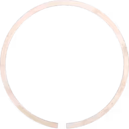 2835493-TTIN-J96-PISTON-RING-OF-TURBOCHARGER_Front_View_256X256