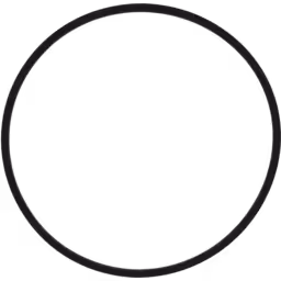 5351337-HE851-O-RING-OF-TURBOCHARGER-FOR-CUMMINS-QSK60-2700HP-CUMMINS-INDUSTRIAL_Front_View_256X256
