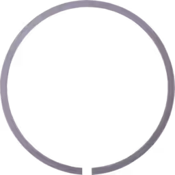 2835493-J96-PISTON-RING-OF-TURBOCHARGER_Front_View_256X256