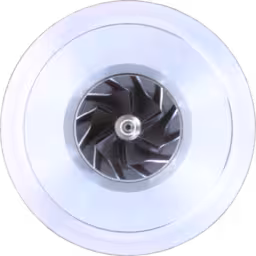 FOR-700273-2-J96-CORE-OF-TURBOCHARGER_Top_View_256X256