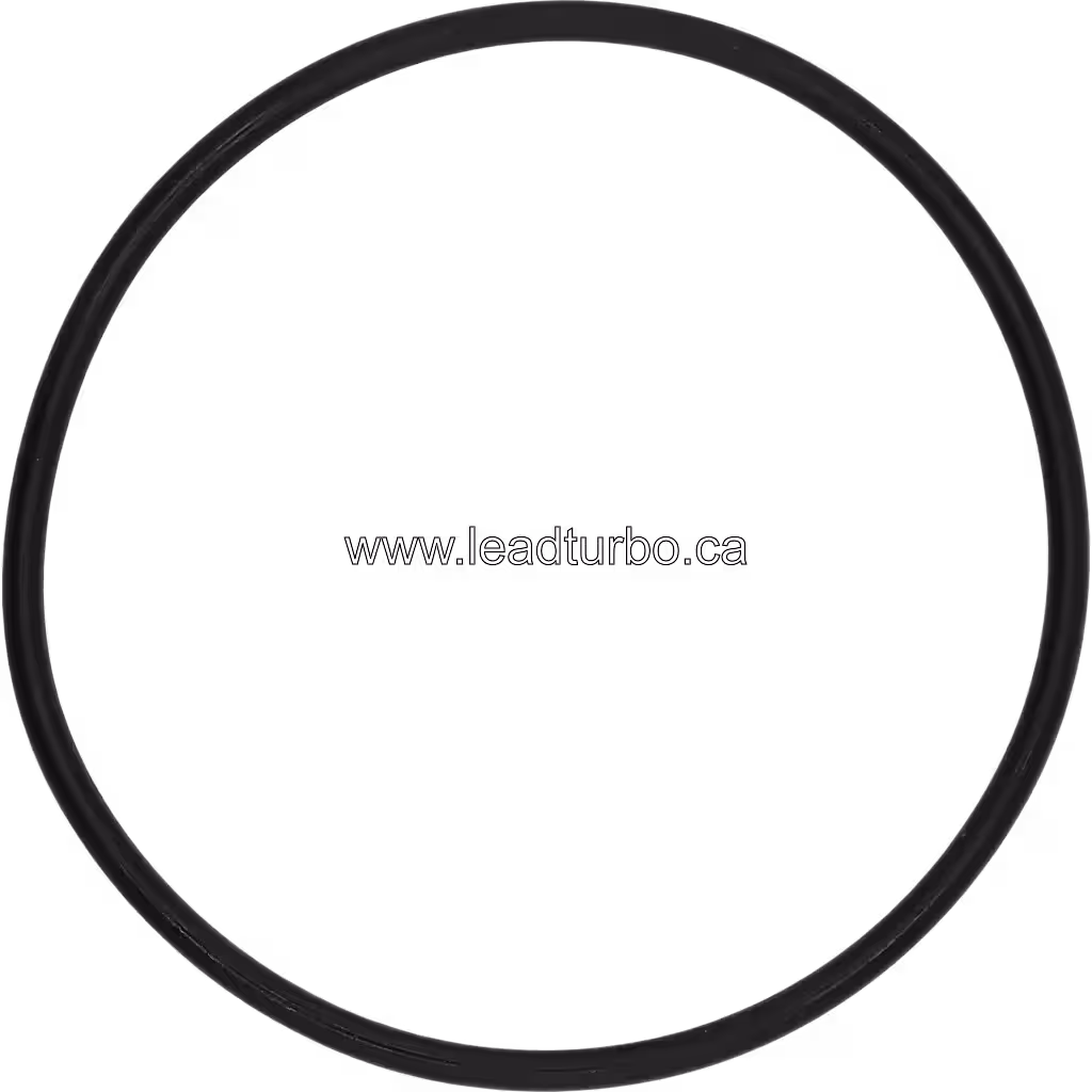 3751948 turbo O ring top view with uniform cross-section