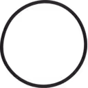 3751948 turbo O ring top view with uniform cross-section