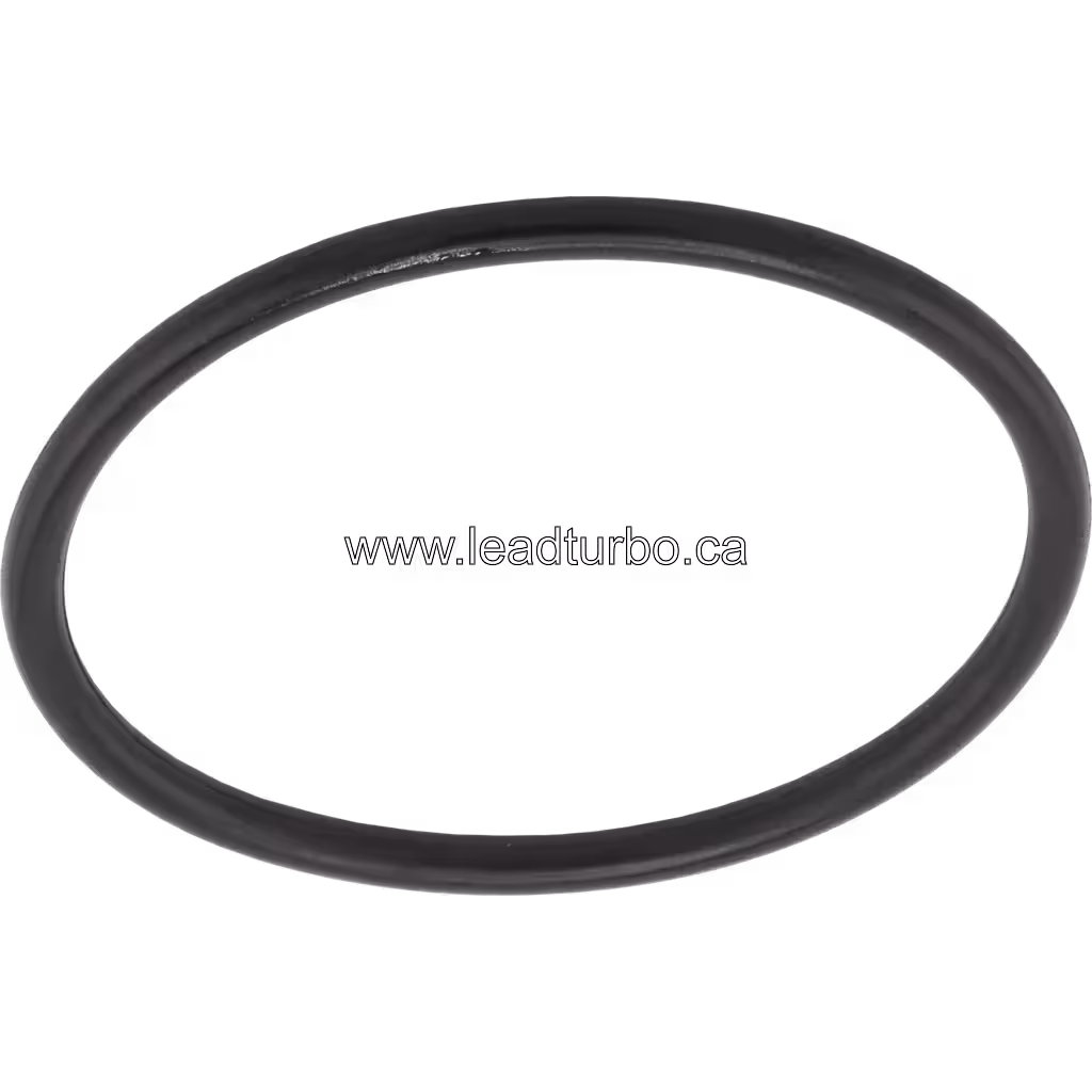 Joint O-ring 07000-E2050, vue de dessus, référence OEM 6505-71-0480