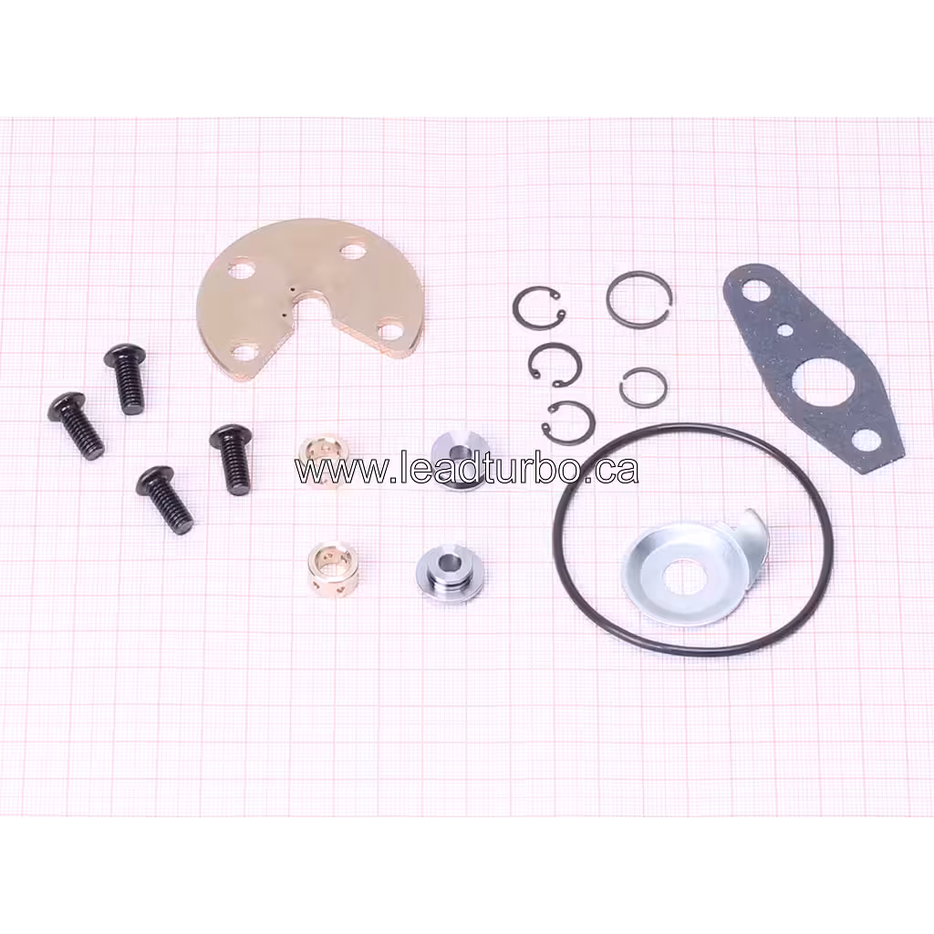 17201-0L020 RK repair kit components including screws, seals, and plates