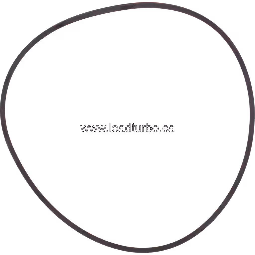 3534405 HX82 O Ring for Cummins Q19-P14 Turbocharger Replacement top view