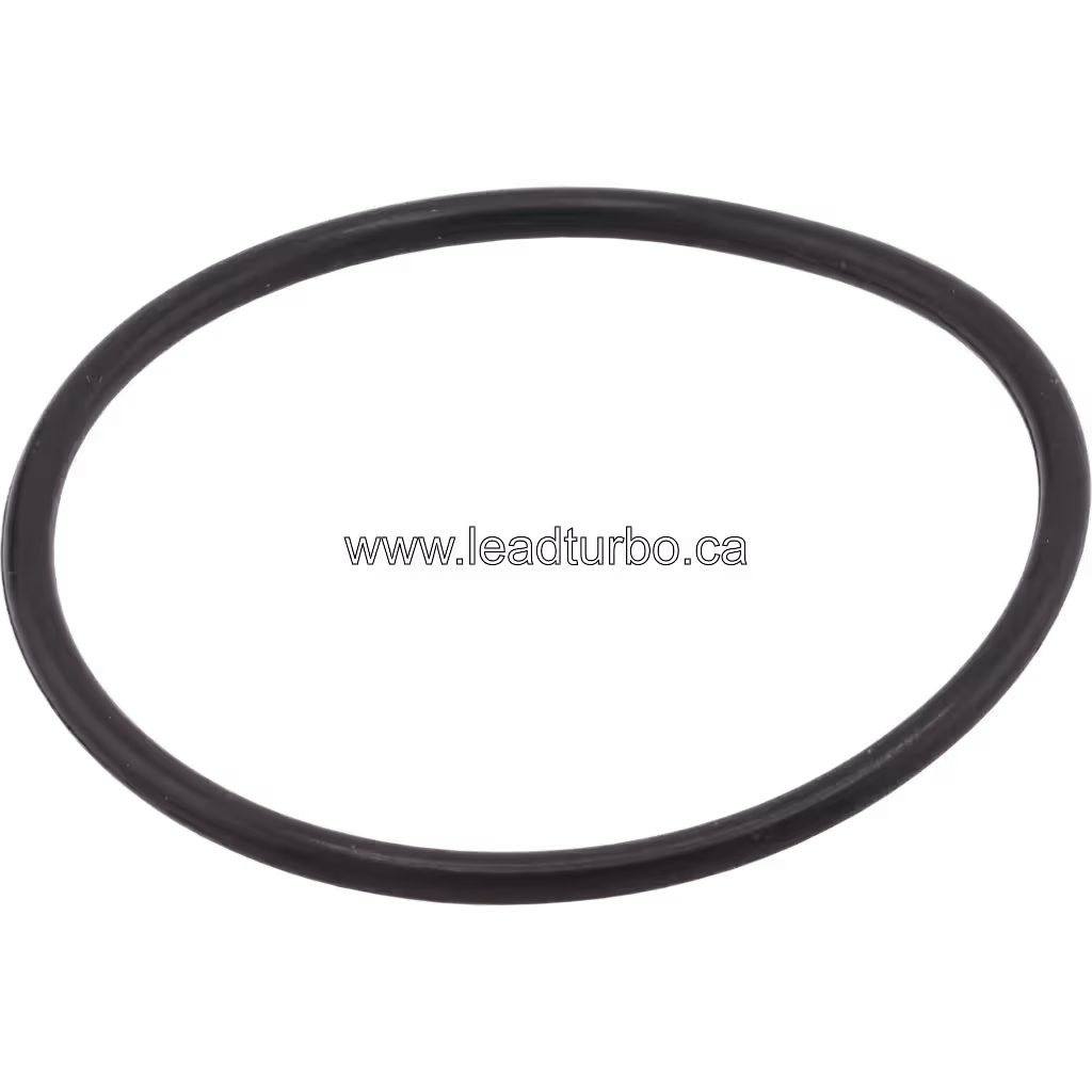 Black turbocharger O ring shown in top-down view