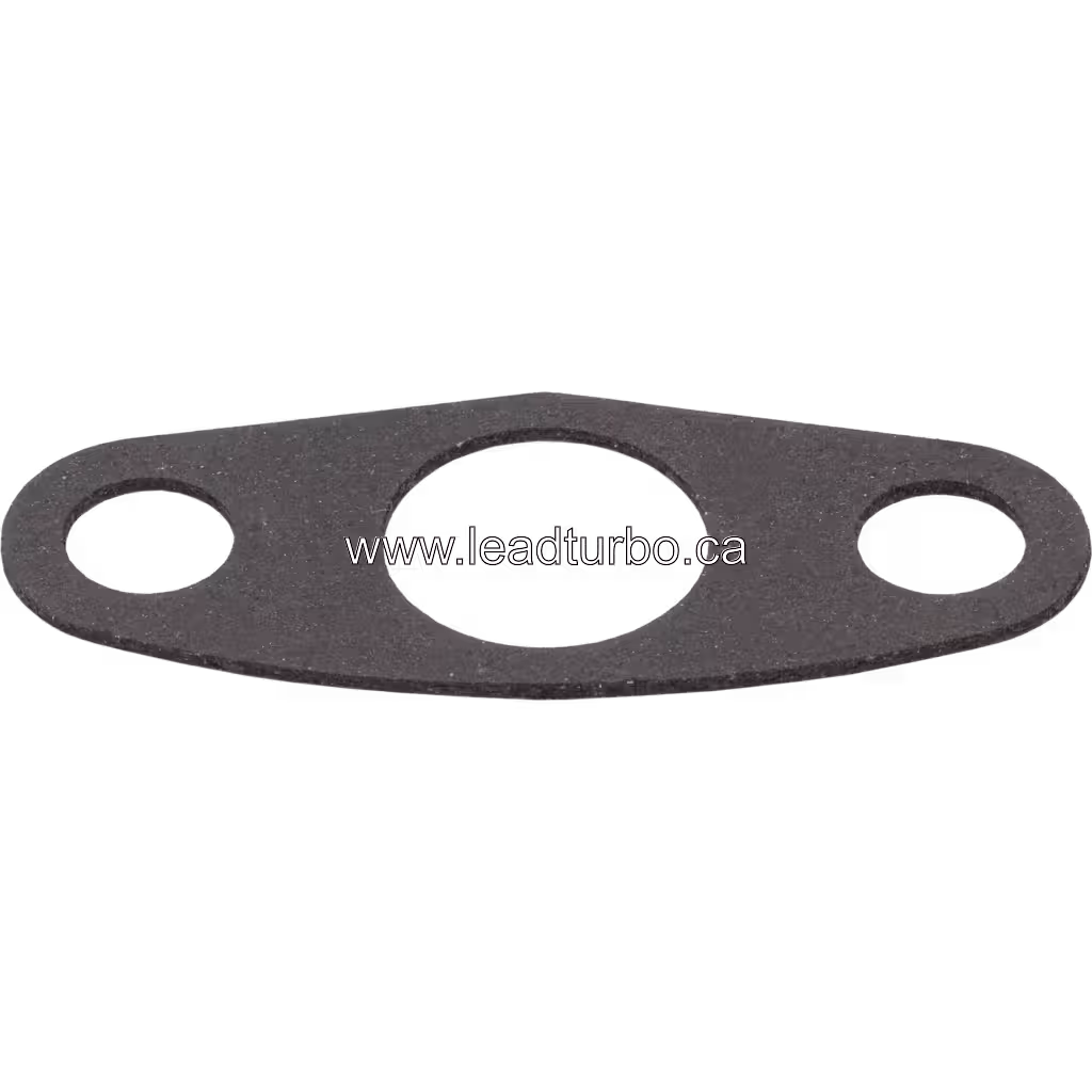 Joint de rechange HX55 vue de dessus