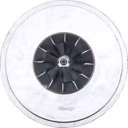Core de Turbocompresseur 183416 4LGZ352C 21 22 pour Scania D2542MTE