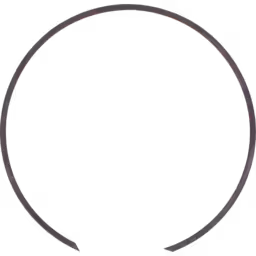 Anneau de Rétention 3537301 pour Turbo HX82 - Pièce de Remplacement Cummins Premier 700HP