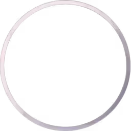 Bague de piston TTIN-15 pour J96 (Ref. 5357945)