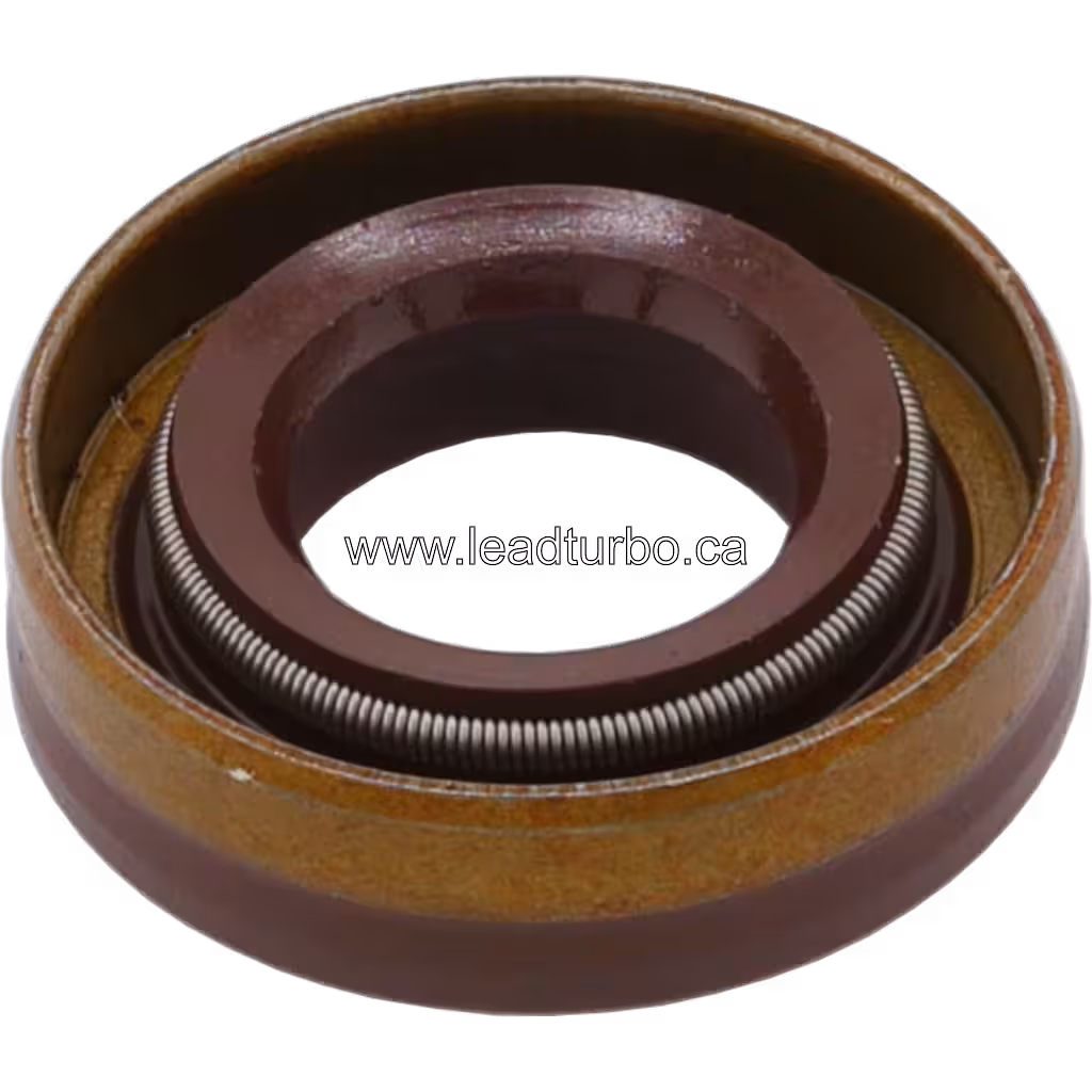 Bottom view of oil seal revealing coiled spring mechanism