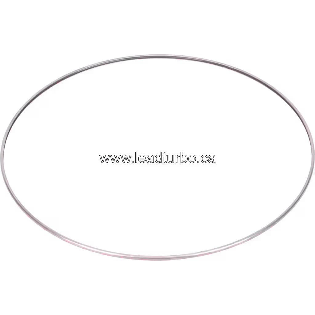 167-163 SG piston ring top view, silver metallic finish