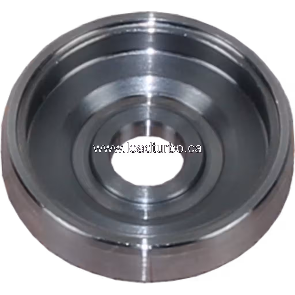 Détail de la plaque arrière turbo 1153025300 pour référence OEM 3539071 BP