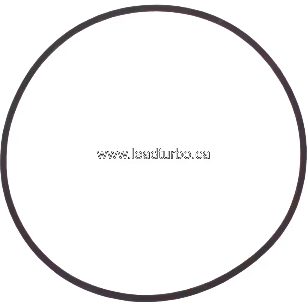 Joint torique HX82 application Cummins Q19-P14