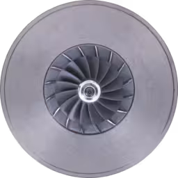 FOR 0R5807 J96 Core - Część zamienna turbosprężarki